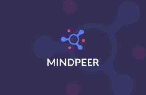 thumb_mindpeer MindPeer Web App Development