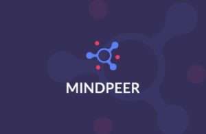 MindPeer Web App Development