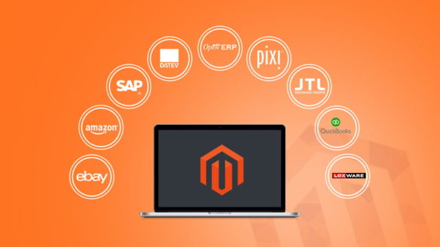 Magento ERP Integration Services