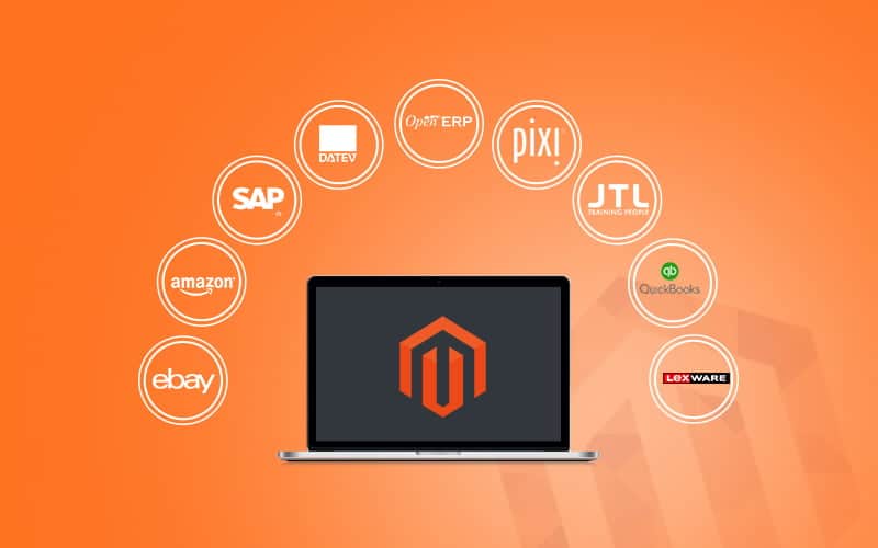 Magento ERP Integration Services