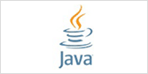 java development