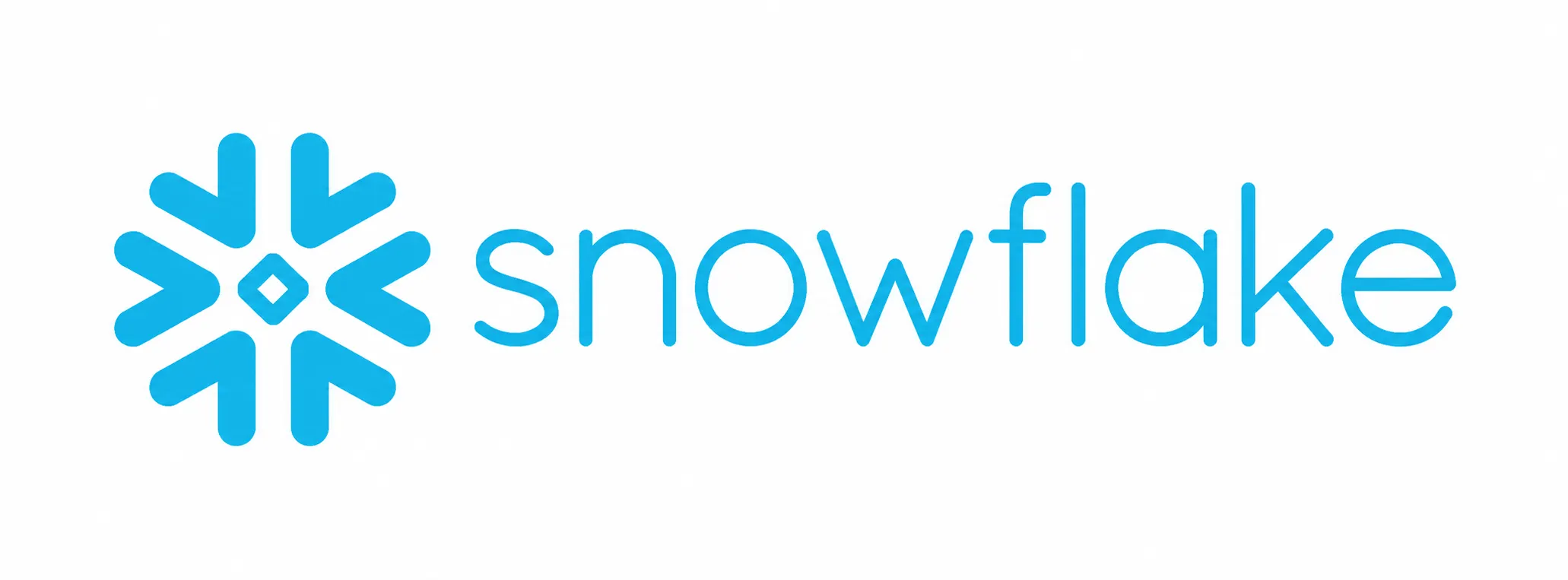 Snowflake-1.webp