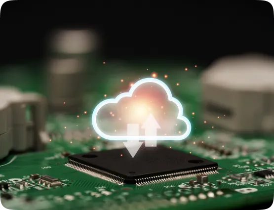 Backup and Environment Setup