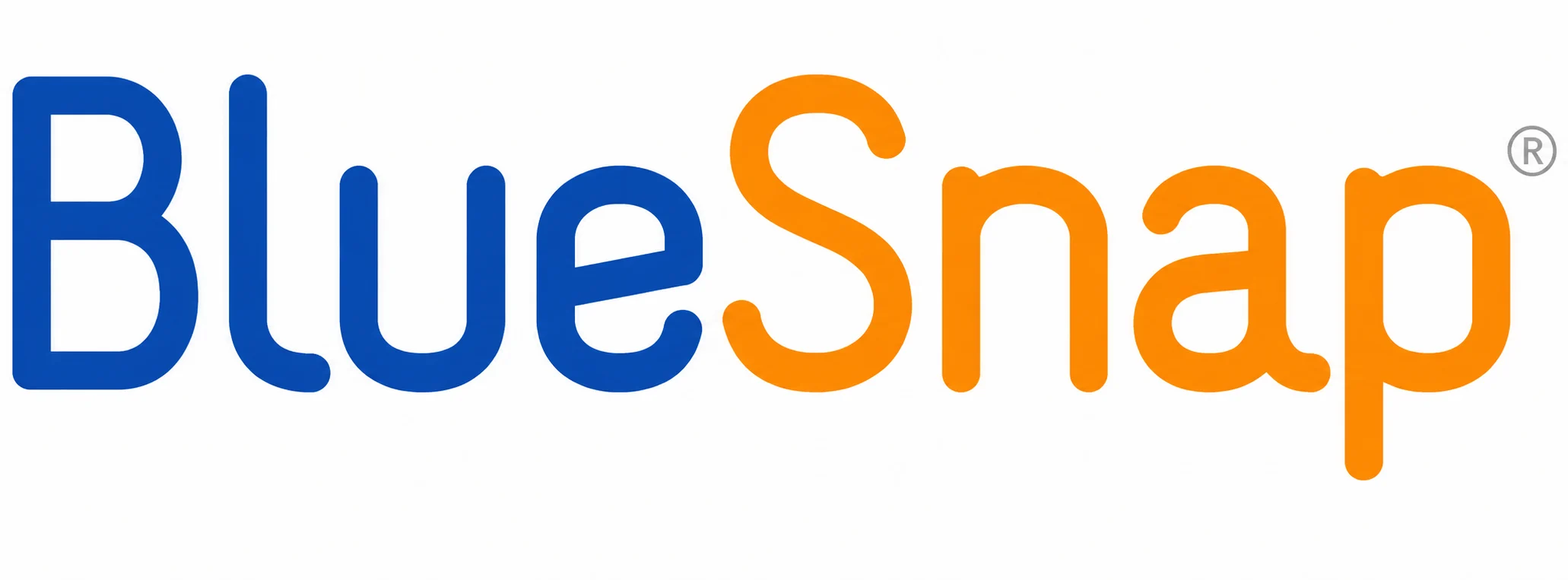 BlueSnap.webp