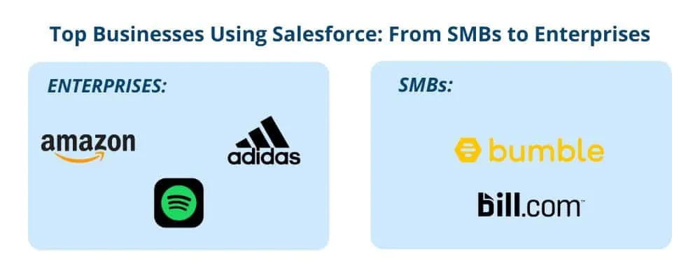 Top-Businesses-Using-Salesforce-From-SMBs-to-Enterprises.webp