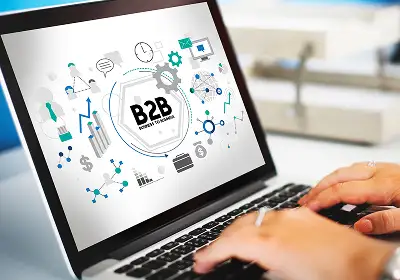 B2B E-Commerce Development