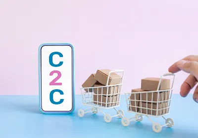 D2C E-Commerce Development