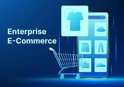 Enterprise E-Commerce Development
