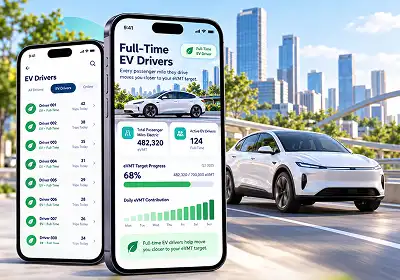 Full-Time EV Drivers